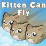 è kitten can fly