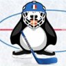   ice hockey penguins