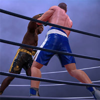 ռȭ Ultimate Boxing