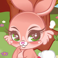 ĢС cute bunny